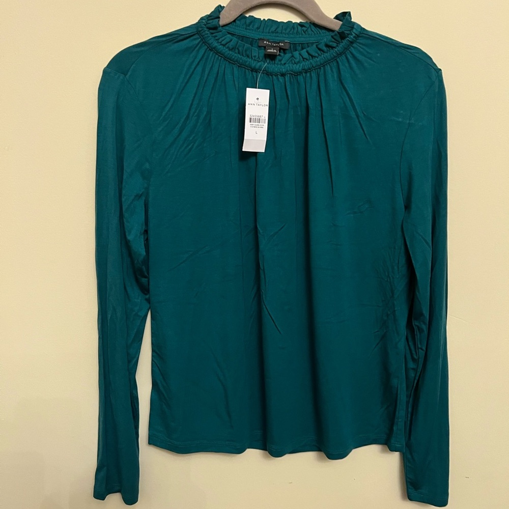 Beautiful Ann Taylor stretch top